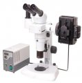 Флуоресцентный стереомикроскоп BS-3060FB